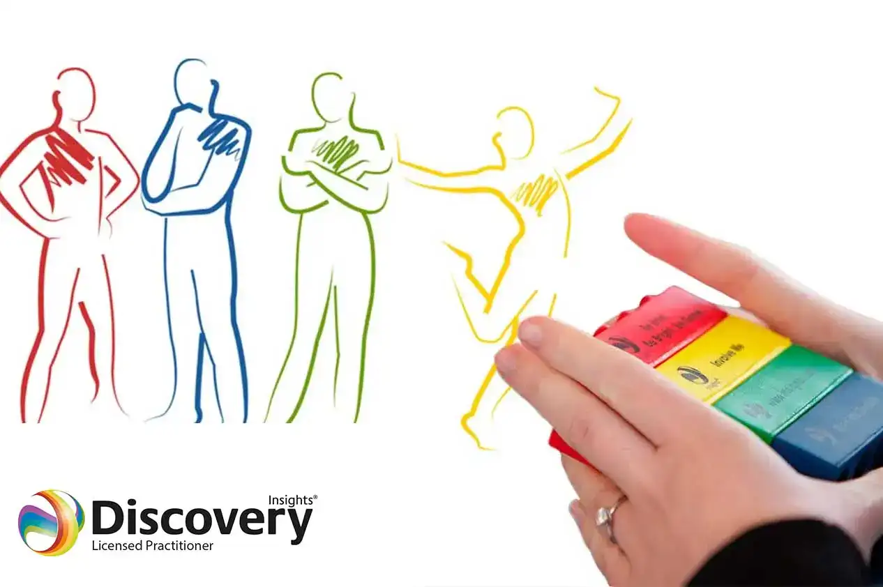 Insights Discovery Bausteine