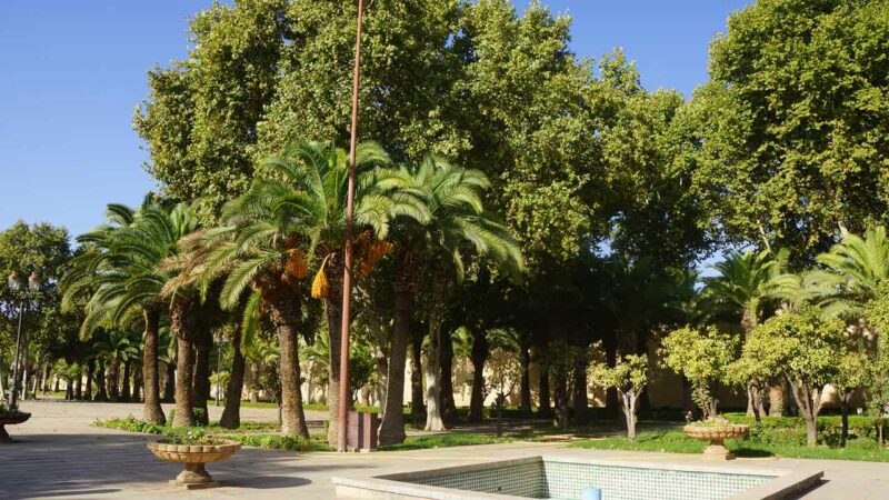 Marokkanischer Garten mit schönen Palmen 