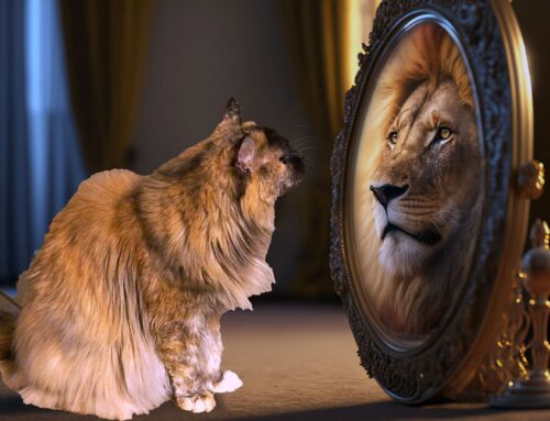 Entre authenticité et image de soi : comment se construire dans le regard des autres