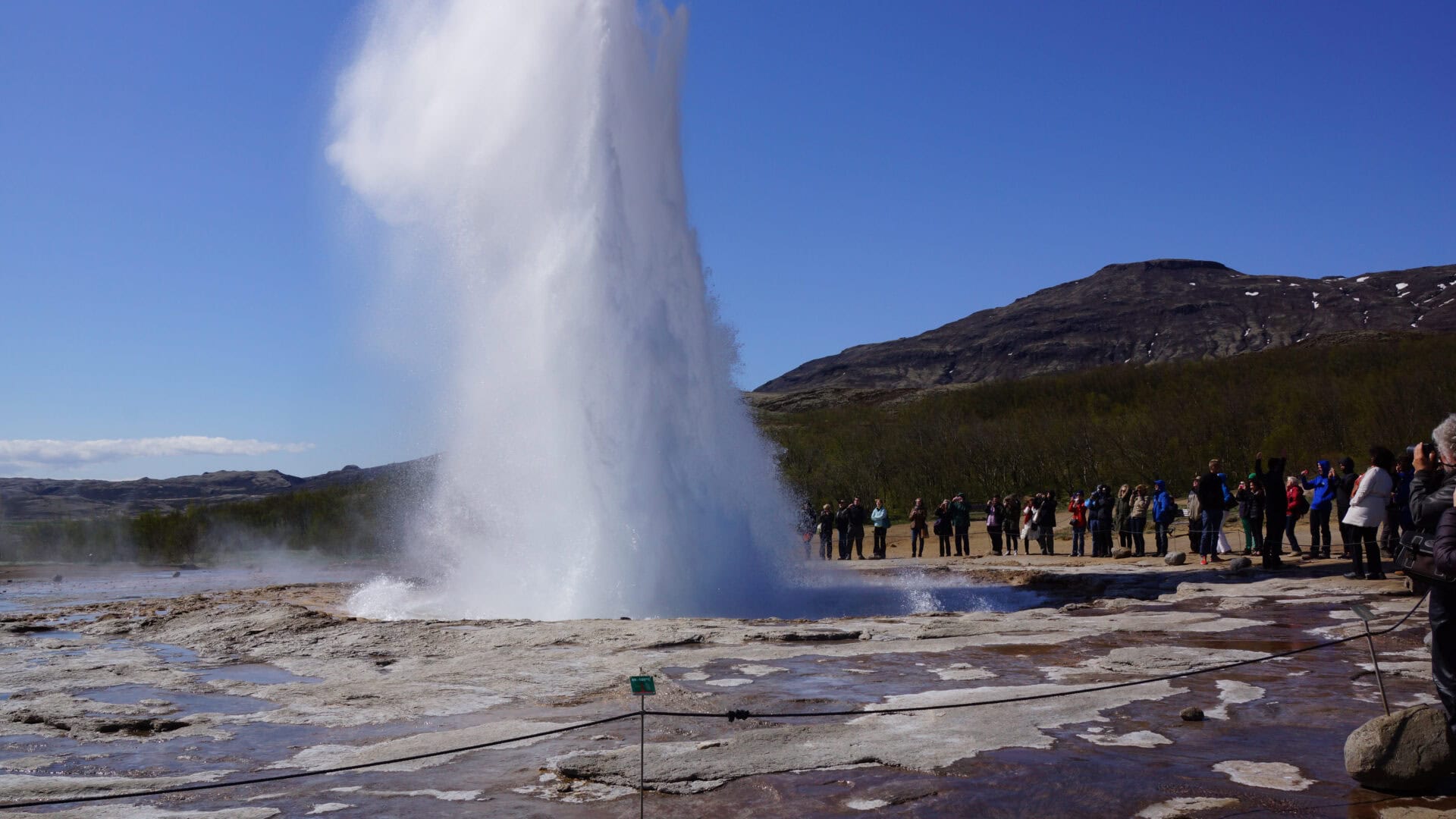 Islander Geyser - intermedio.ch - Connecting Cultures